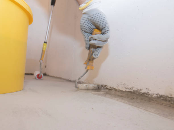 Best Real Estate Pest Inspections  in Pine Island, MN